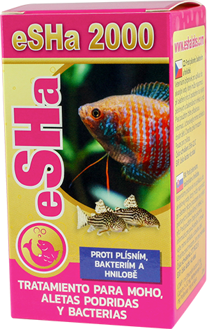 eSHa 2000