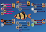 Fish diseases blue A4 07C23 English