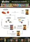 Treatment plan fish diseases A4 Dutch 06C23