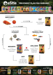 Treatment plan fish diseases A4 English 06C23