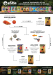 Treatment plan fish diseases A4 Spanish 06C23